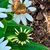 Susan Healy's profile image