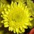 Michelle Davis's profile image
