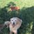 Becky Barbee's profile image