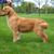 Kathy Siegle's profile image