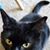 Darlene Mikulich's profile image
