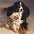 Susan McGovern McBride's profile image