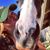 Blair Elaine's profile image
