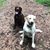 Rose Porter Fulk's profile image