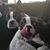 Jeanine Ranger Sapelak's profile image