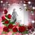 Dolores Davis Paylor's profile image