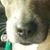 Julie Tanguay Roche's profile image