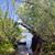 Karen Behringer's profile image