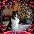 Sherry Hansen's profile image