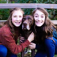 Sarah Johnson's profile image