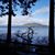 Tina Hoxie's profile image