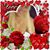 La Caballota's profile image