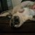 Sandy Dee's profile image