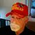Skip Brown's profile image