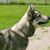 Burgett Stephanie's profile image