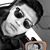 Felix Salazar's profile image