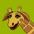 Amy K. Holmes's profile image