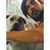 Justin Ginn's profile image