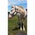 Hanna Revea Elizabeth Myers's profile image