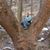 Sally Letsinger's profile image