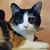 Lorena Ann DeMoss's profile image