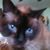 Sandra Hopkins's profile image