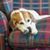 Christina Gerwitz's profile image