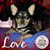 Donna Schneider-Murphy's profile image