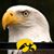 Jason Stoogeman Yousse's profile image