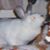 Bunny Zayas's profile image