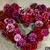 Christi Barger Mayer's profile image