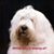 Argelio L. Garcia's profile image