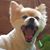 Therese Bordeleau's profile image