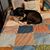 Lucy M. Radatz's profile image