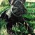 Tracy Van Raden's profile image
