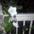 Debra Finley's profile image
