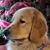 Christine Pardo's profile image