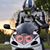 Shinobi Fish's profile image
