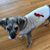 Kaylee Ray Cavalli's profile image