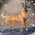 Angelika Clark's profile image