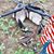 Anthony Gimpel's profile image