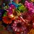 Gaylene Shaw- Blackburn's profile image
