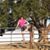 Rebecca Puente-Tello's profile image