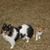 Robert Braniff's profile image
