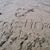 Cristina Alvarez's profile image