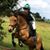 Jane Mc Coy's profile image