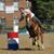 Susan Rich Hubbard's profile image