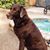 Brenda McParland Bell's profile image