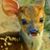 Randall Johnson's profile image