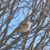 Joan Baker Terwelp's profile image